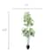 5ft. Potted Variegated Schefflera Tree by Ashland®